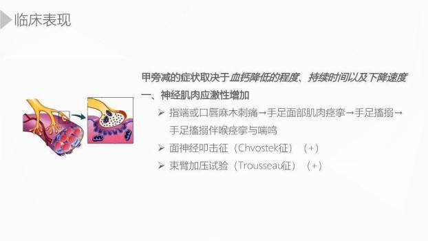 红色插画风甲状旁腺功能减退症护理业务学习PPT模板7