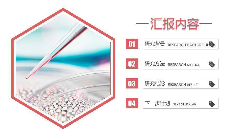 红色商务风科研制药项目工作汇报PPT模板7