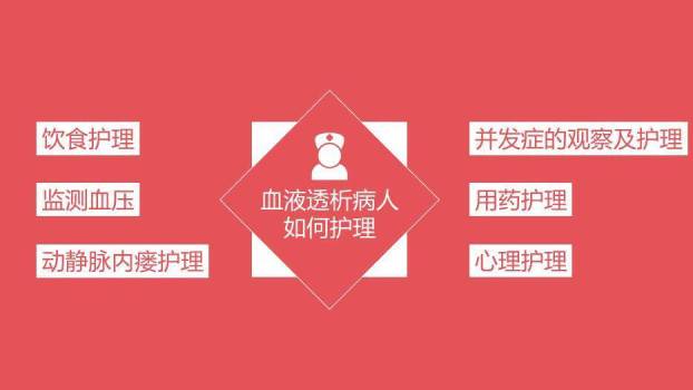 红色血透病人的护理PPT模板2