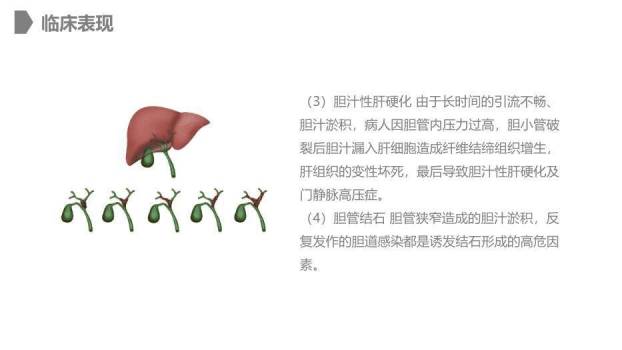灰色卡通风胆道损伤的护理PPT模板3