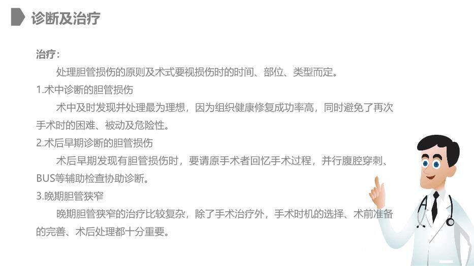 灰色卡通风胆道损伤的护理PPT模板5