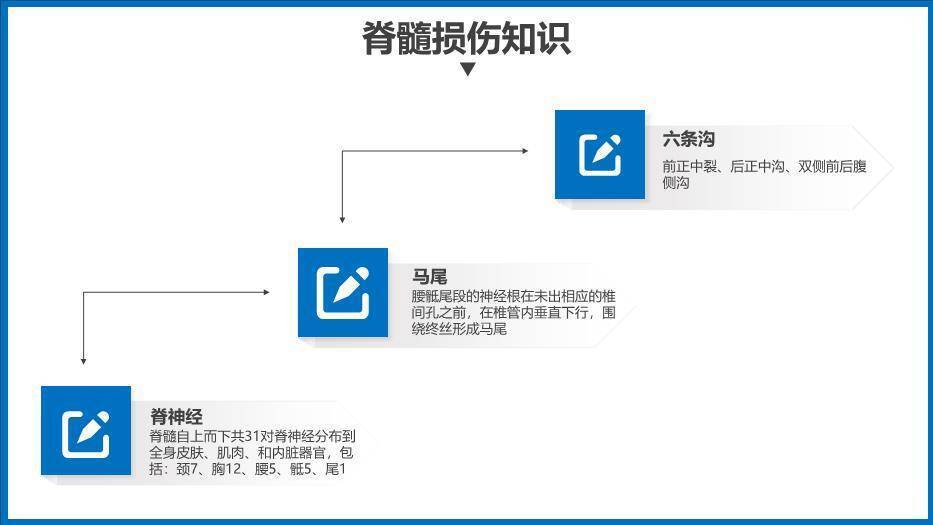蓝色商务风脊髓损伤护理查房PPT模板1