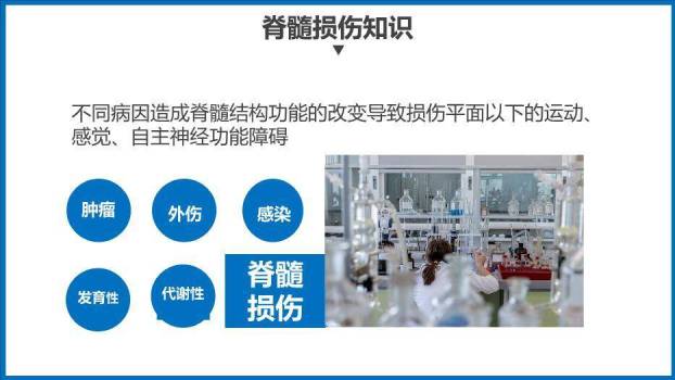 蓝色商务风脊髓损伤护理查房PPT模板3