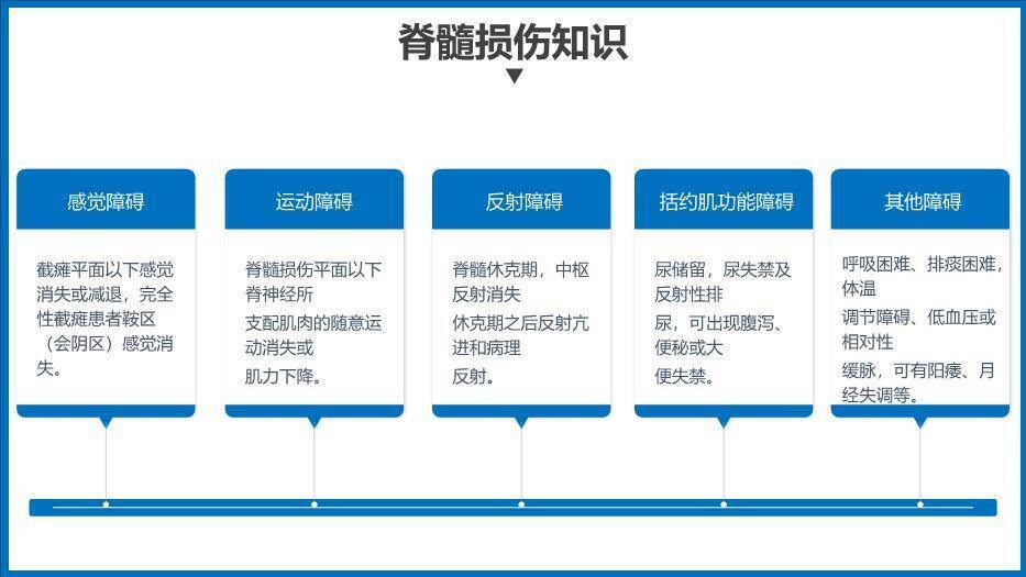 蓝色商务风脊髓损伤护理查房PPT模板4