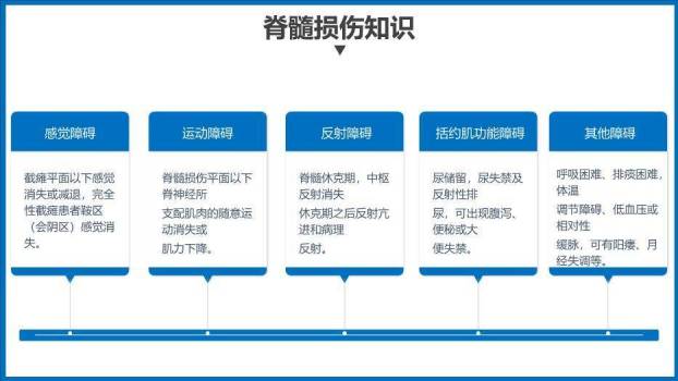蓝色商务风脊髓损伤护理查房PPT模板4