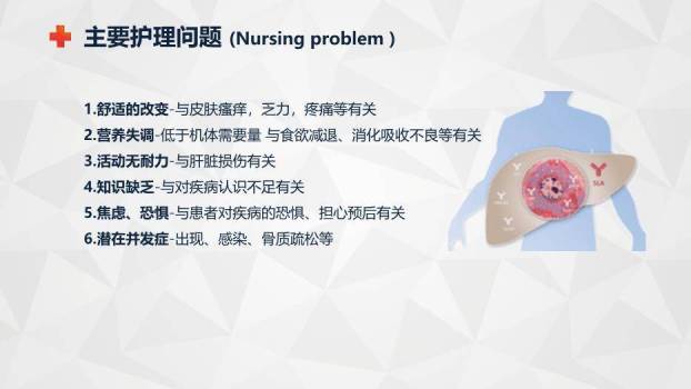 蓝色商务风自身免疫性肝病护理查房PPT模板4