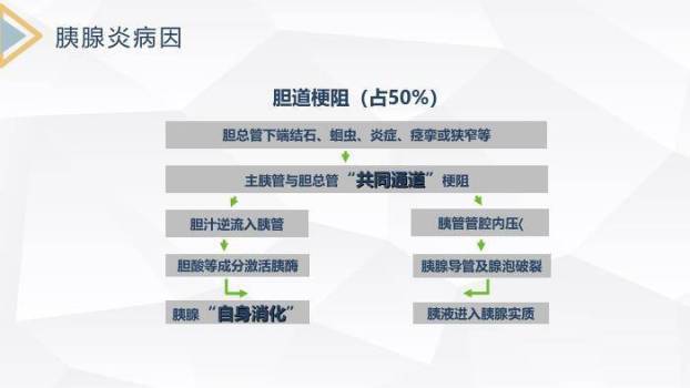 蓝色急性胰腺炎护理查房PPT模板1