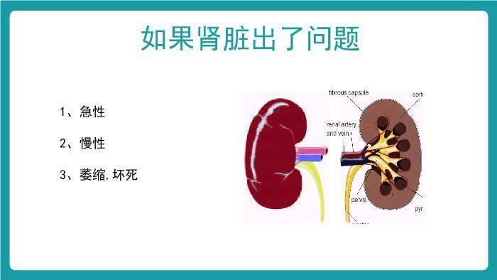 绿色扁平风血液透析个案护理PPT模板9