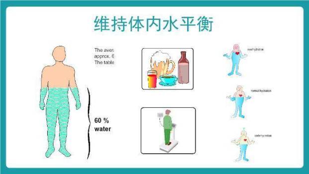 绿色扁平风血液透析个案护理PPT模板2