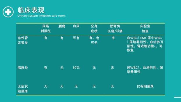 绿色扁平医疗风泌尿系统感染护理查房PPT模板5