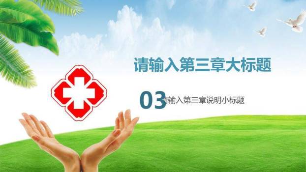 绿色自然风医生工作总结报告简约模板PPT模板6