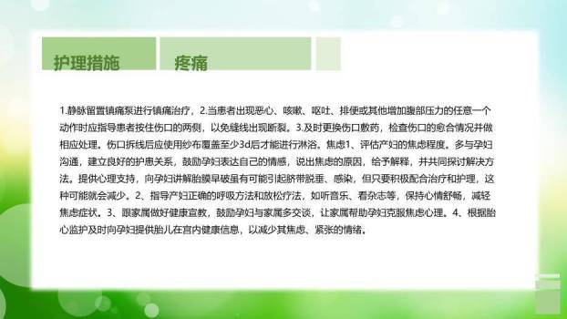 绿色自然风胎膜早破病人的护理个案分享PPT模板3