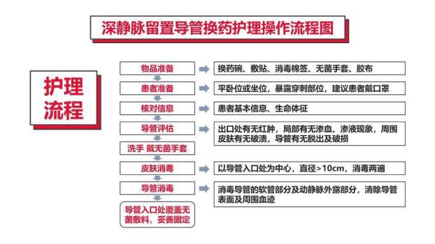 红色血液透析留置导管护理PPT模板1
