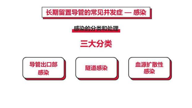 红色血液透析留置导管护理PPT模板7