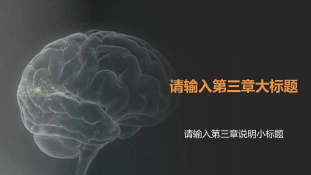 灰色脑科医疗保健通用模板PPT模板6