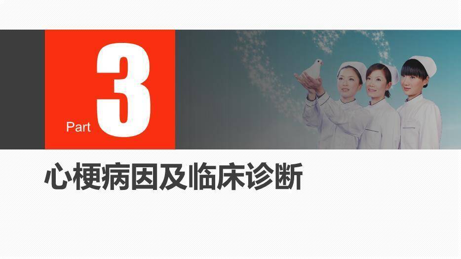 灰色通用护理查房PPT模板4