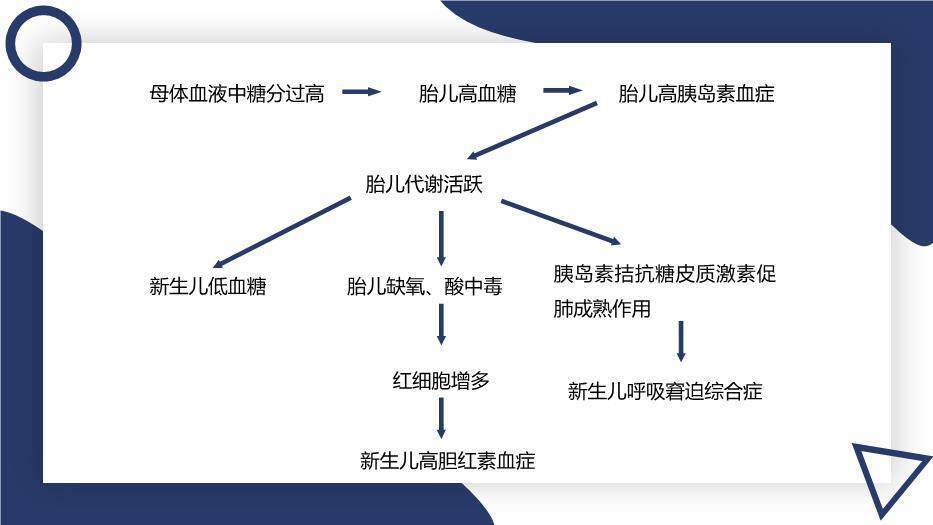 蓝色极简几何风妊娠期糖尿病PPT模板7