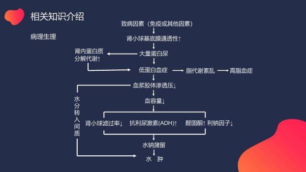蓝色极简渐变风小儿肾病综合症的护理PPT模板4