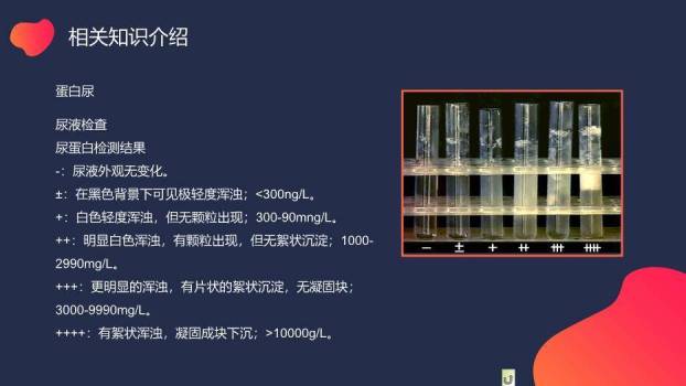 蓝色极简渐变风小儿肾病综合症的护理PPT模板6