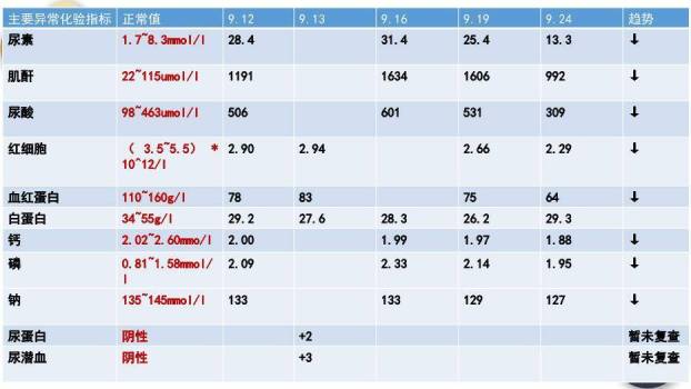 蓝色简约气泡风尿毒症的护理查房PPT模板1