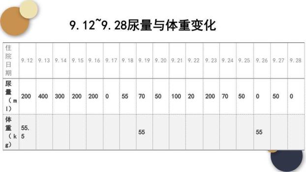 蓝色简约气泡风尿毒症的护理查房PPT模板5