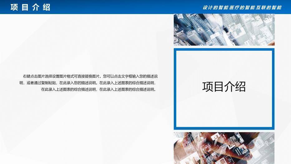蓝色医疗医院项目汇报PPT模板2
