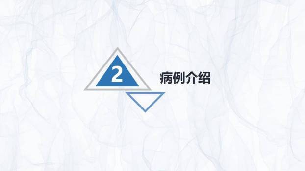 银灰色简约风嗜酸性粒细胞增多症护理查房PPT模板8