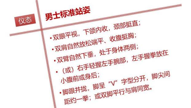 红色简约风礼仪PPT模板7