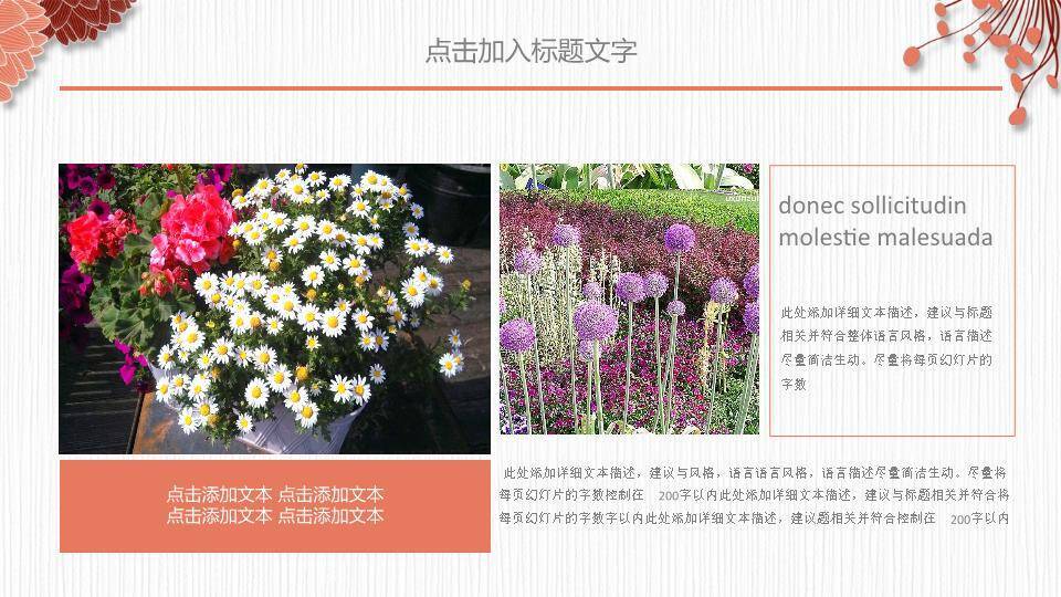 小清新嫩绿花茎述职PPT模板1