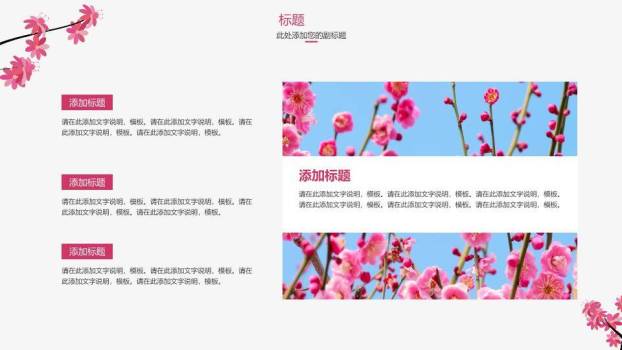 文艺风桃花东方水墨通用PPT模板6