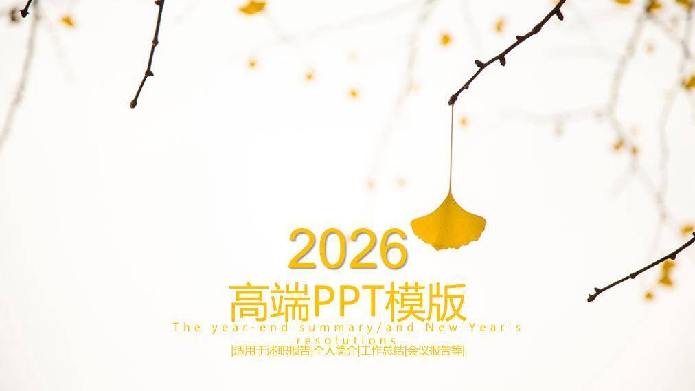 小清新微立体白花企业总结PPT模板0