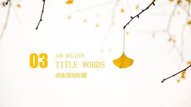 小清新微立体白花企业总结PPT模板4