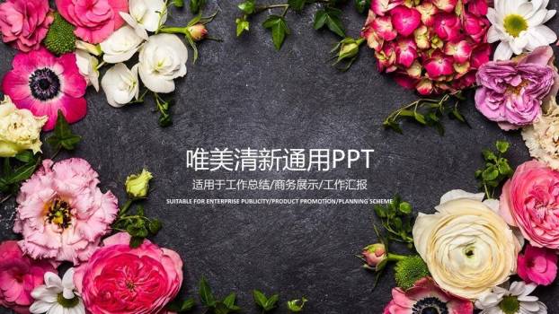 文艺风花鸟工笔文化通用PPT模板0