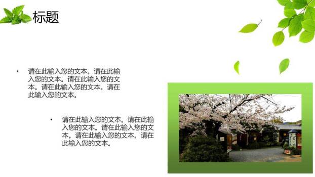 小清新田园风车教育通用PPT模板5