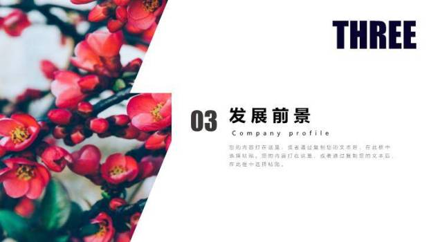 深蓝书桌简约开题报告PPT模板4