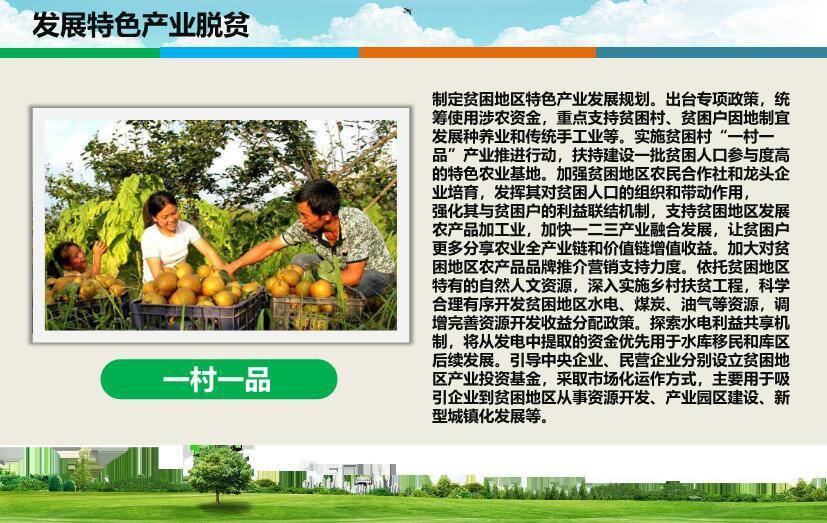 红色庄重风精准扶贫PPT模板5