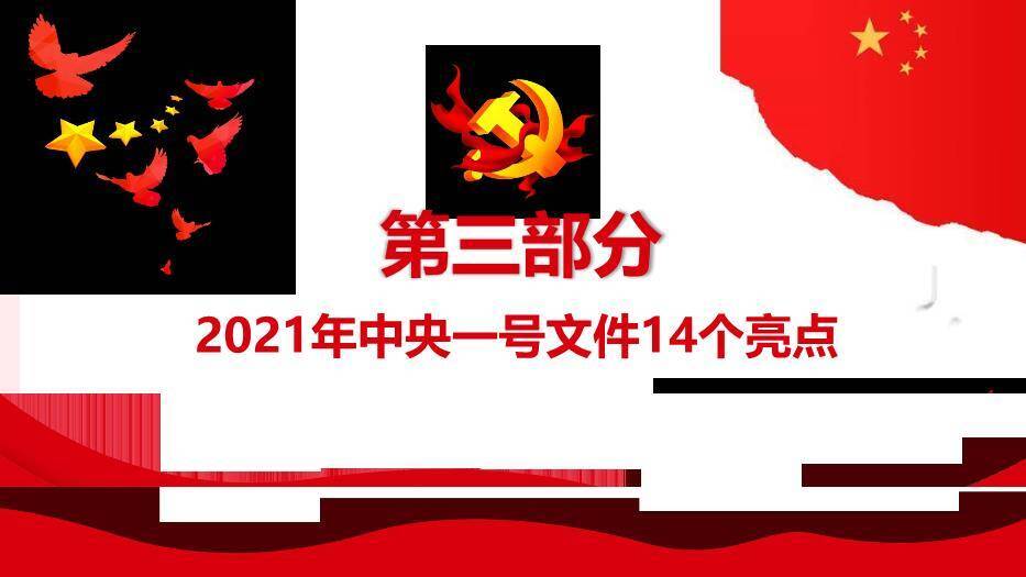 红色庄重风全面推进乡村振兴PPT模板9