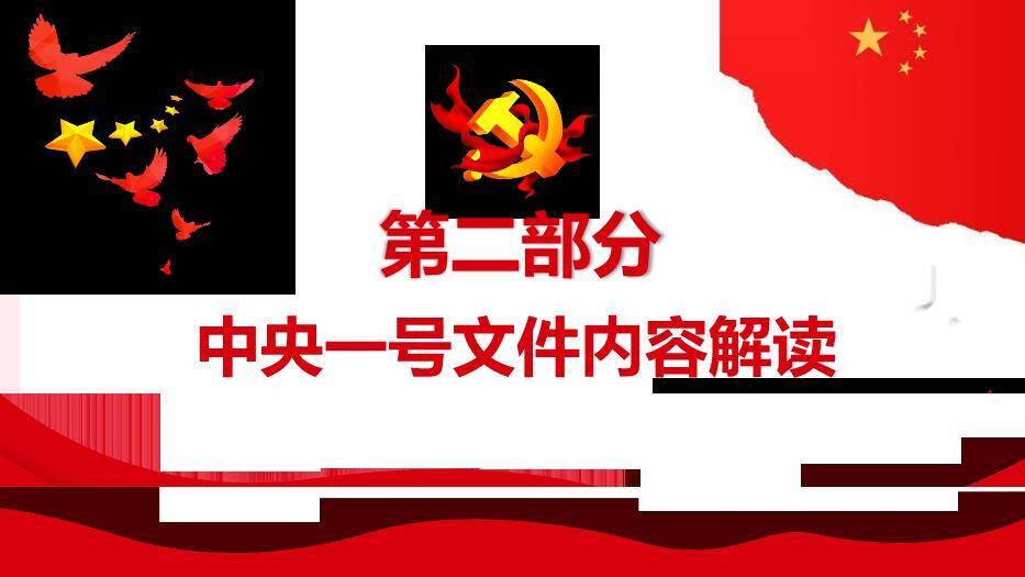 红色庄重风全面推进乡村振兴PPT模板2