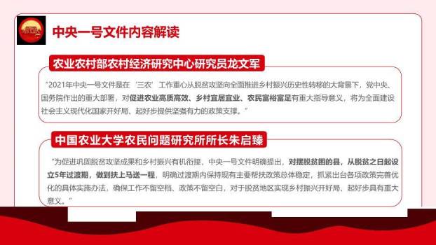 红色庄重风全面推进乡村振兴PPT模板4
