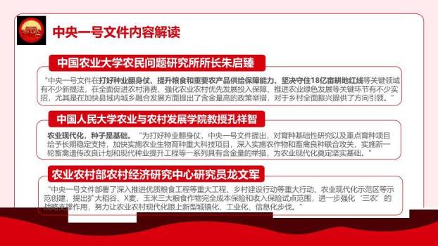 红色庄重风全面推进乡村振兴PPT模板6