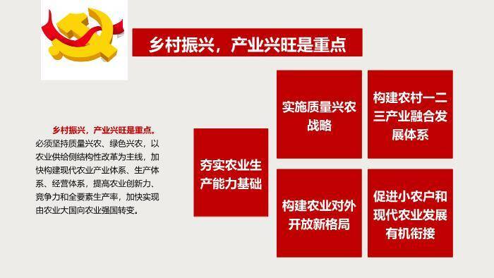 红色庄重风实施乡村振兴战略PPT模板9