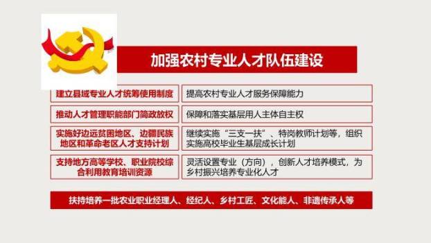 红色庄重风实施乡村振兴战略PPT模板5