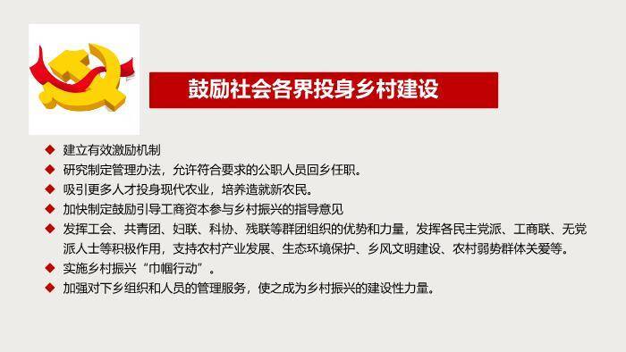 红色庄重风实施乡村振兴战略PPT模板7