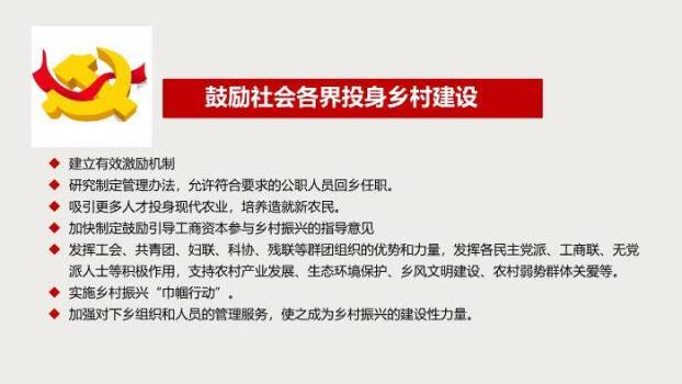 红色庄重风实施乡村振兴战略PPT模板7