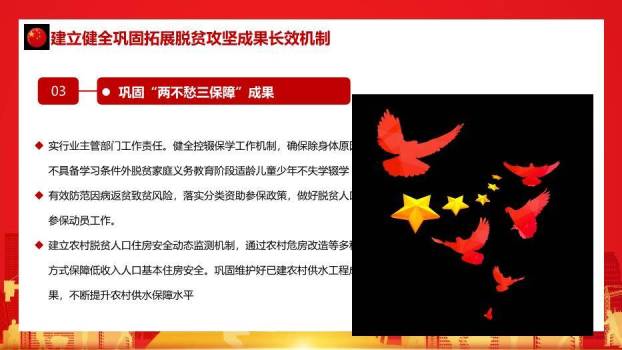 红色庄重风脱贫攻坚与乡村振兴PPT模板9