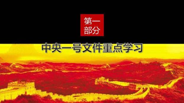 红色庄重风乡村振兴战略PPT模板8