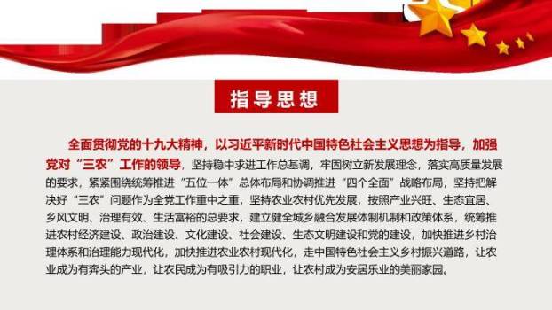 红色庄重风乡村振兴战略PPT模板2