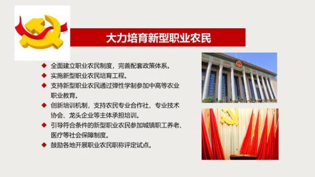 红色庄重风乡村振兴战略PPT模板4
