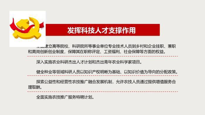 红色庄重风乡村振兴战略PPT模板6