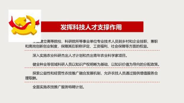 红色庄重风乡村振兴战略PPT模板6